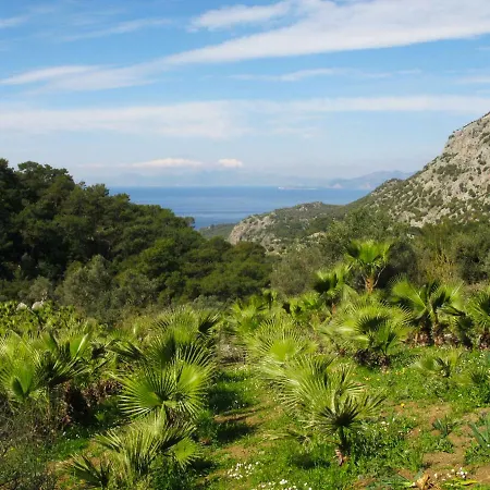 Lodge Palm House Dalyan